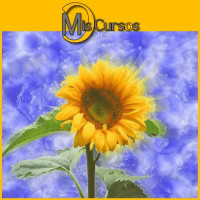 Curso Online de Ho'oponopono Curso Online de Ho'oponopono